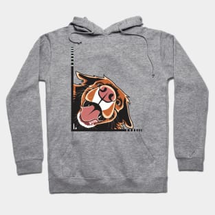 The Curious Toller Nova Scotia Duck Tolling Retriever Hoodie